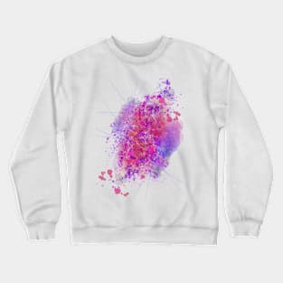 Colors Splash Nebula Crewneck Sweatshirt